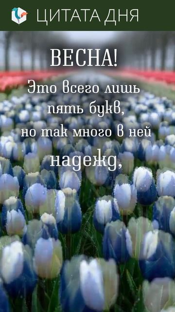 #цитата_выходного_дня