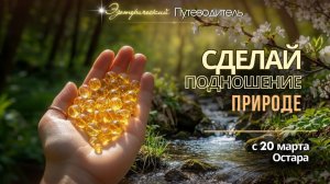 Остара 2026: делаем ПОДНОШЕНИЕ.