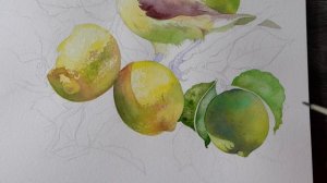 3 техники акварели, которые должен освоить каждый новичок!