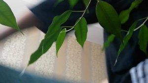 Строем домики ис подушек