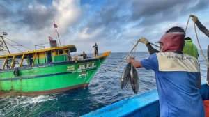 На девятый день мы остались в открытом море и поймали кучу рыбы