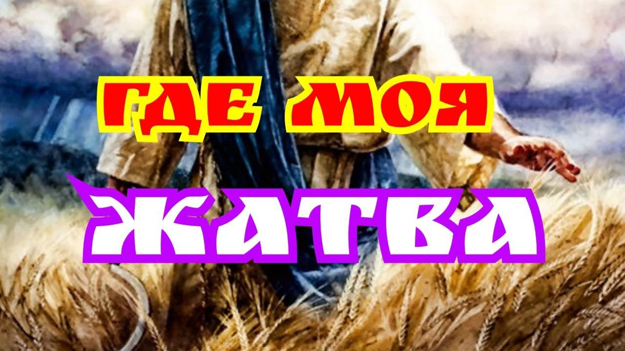 Где моя жатва. 20.03.26