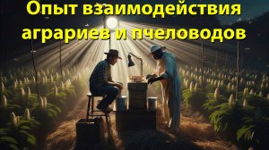 Брокер опыления: как аграриям и пчеловодам работать без потерь? / Виталий Варибрус, съезд 2024