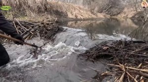 Строительство, расчистка русла реки