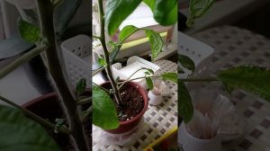 Осмотр и обход ТЕРРИТОРИИ 😊