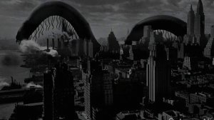 Urban Worm