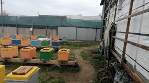 20-е Марта.Переделал деревянные 12-шки  ;-)