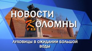 Луховицы в ожидании большой воды