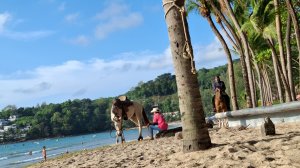 Пляж Камала, о. Пхукет, 2026 март