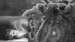 Воспоминания