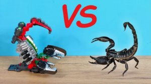 Дикий Скричер против живого Скорпиона! Обзор новинок 5 сезона