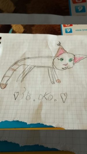 Звёздное око которую я рисовала в шк на перемене.