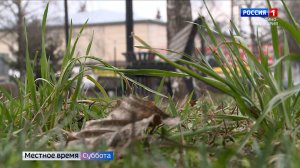 На юге России зафиксировали распространение клещей рода Хиаломма