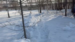 Сглазила прогулку)))). Почти готов пол. Стаи птиц