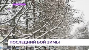 Метель со снегопадом обрушилась на Приморский край