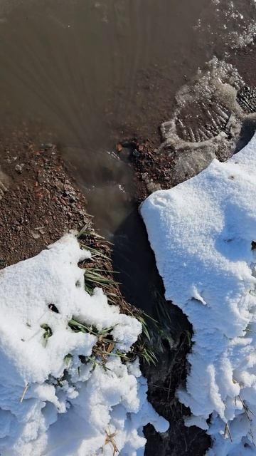 Нет, это на водопад в горах. Это весенняя дорога. В норме туи должны ходить люди и ездить машины 😀