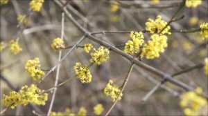 Перекрёсток Судьбы 22 марта. Не упустите эту возможность.