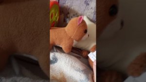 Микки и Шарик 5 серия кот черныш убил Микки а на самом деле это был сон Микки и я весёлые приклю