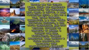 Цитаты,афоризмы