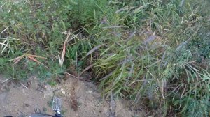 Эндуро-покатушка в окрестностях п.Хасан 05.10.2025