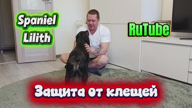 Время защищаться от клещей