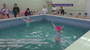 12-ая олимпиада детских садов по плаванию