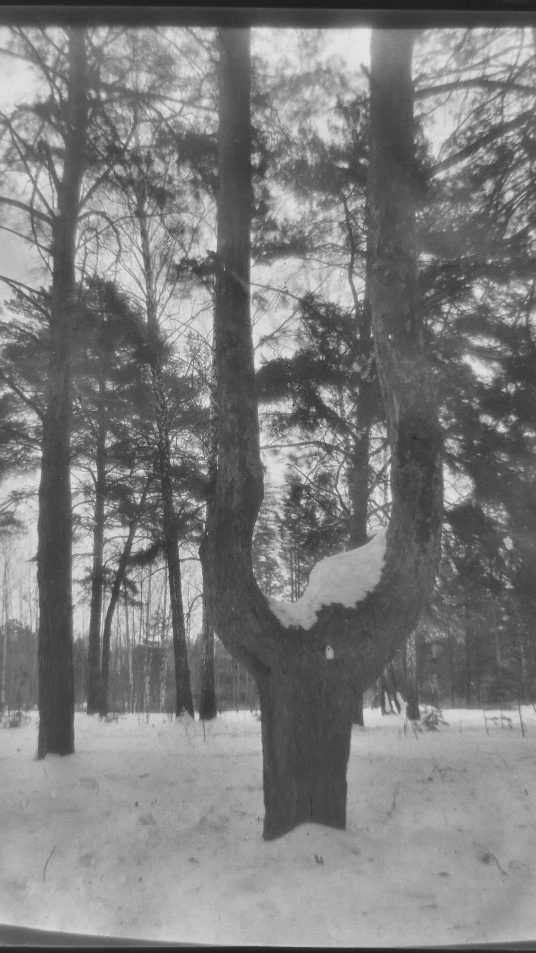 Фотокор-1 и светочувствительные материалы