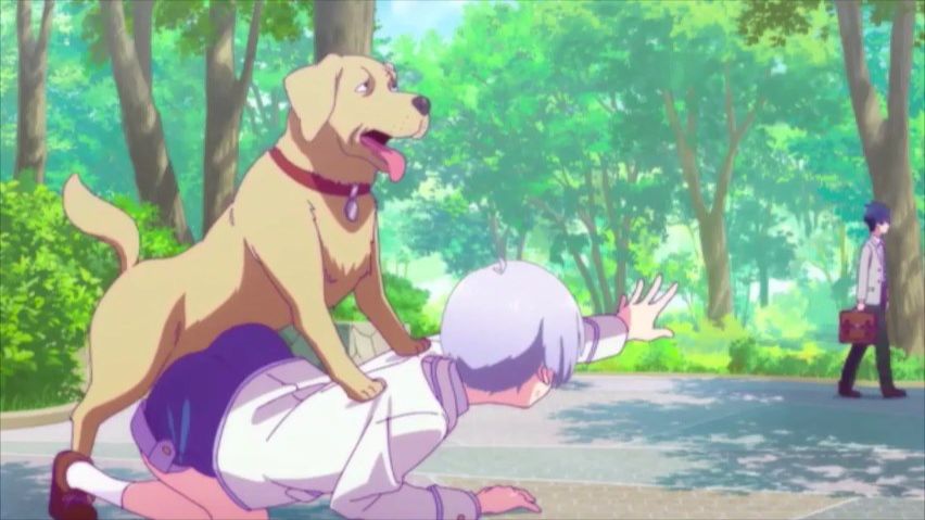 Развращённый пёс завалил школьницу среди парка) «Любовные неудачи»