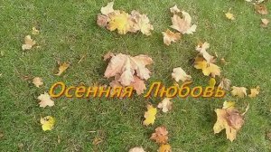 Осенняя любовь - Ирина Сук