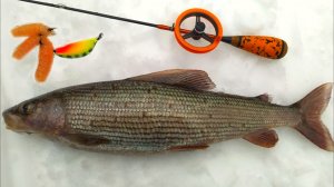 ОСКВЕРНИЛ БЕЗМОТЫЛКУ😱😱😱. На рыбалку за зимними ХАРИУСАМИ !!!