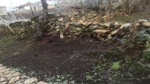 13 декабря 2023г.Мой дом.На даче все по улетало)