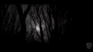 МАМА ПРИДЁТ В ЛЕС ЗАБЕРЁТ  .. Страшные истории на ночь..