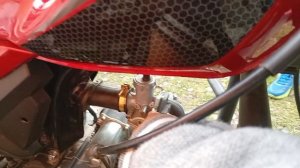 влог про "альфу"