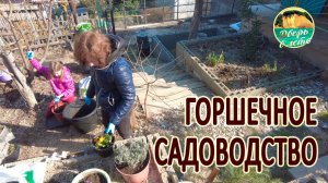 Начинаем садовый сезон