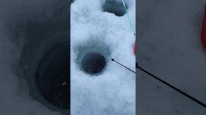 20-03-2026.  р. ИНЯ.