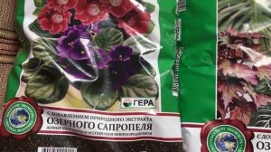 Весенняя пересадка комнатных растений