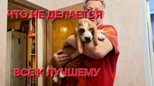 1124 Проводили детей. Телеграмм Всё.Что не делается всё к лучшему. Мужик из сибири.