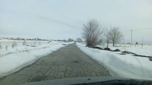 20.03.26 въезд на массив и о кошечках и собачках