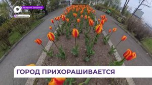 Специалисты «Зелёного Владивостока» приводят краевую столицу в порядок после зимы