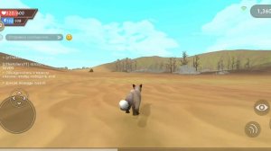 играю в вилд и немного прокачала лису  чит опис