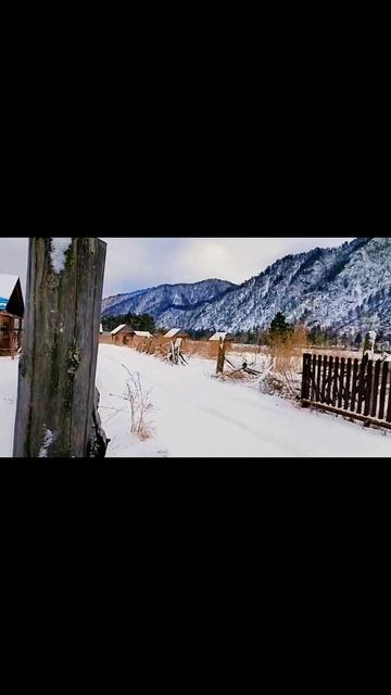 Продаётся участок с незавершённым строительством в Чемальском районе