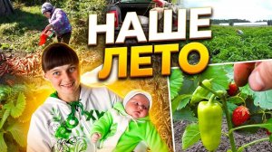 ЧТО МЫ ДЕЛАЛИ ЭТИМ ЛЕТОМ. Из города в деревню 18 серия