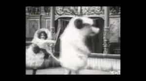 Shorts, The Dancing Pig. 1907 THE DANCING PIG