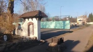 Белорусская кухня: лучшие рецепты и заведения