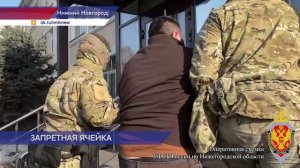 Экстремистская группа задержана в Нижегородской области