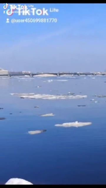 Ледоход на Неве. Санкт-Петербург . март 2026 #нева #ледоход #весна #санктпетербург