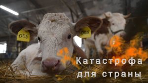 Ликвидация КРС