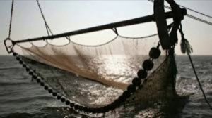 «Крабового короля», сахалинского предпринимателя Олега Кана собираются разыскать через ГУФСИН