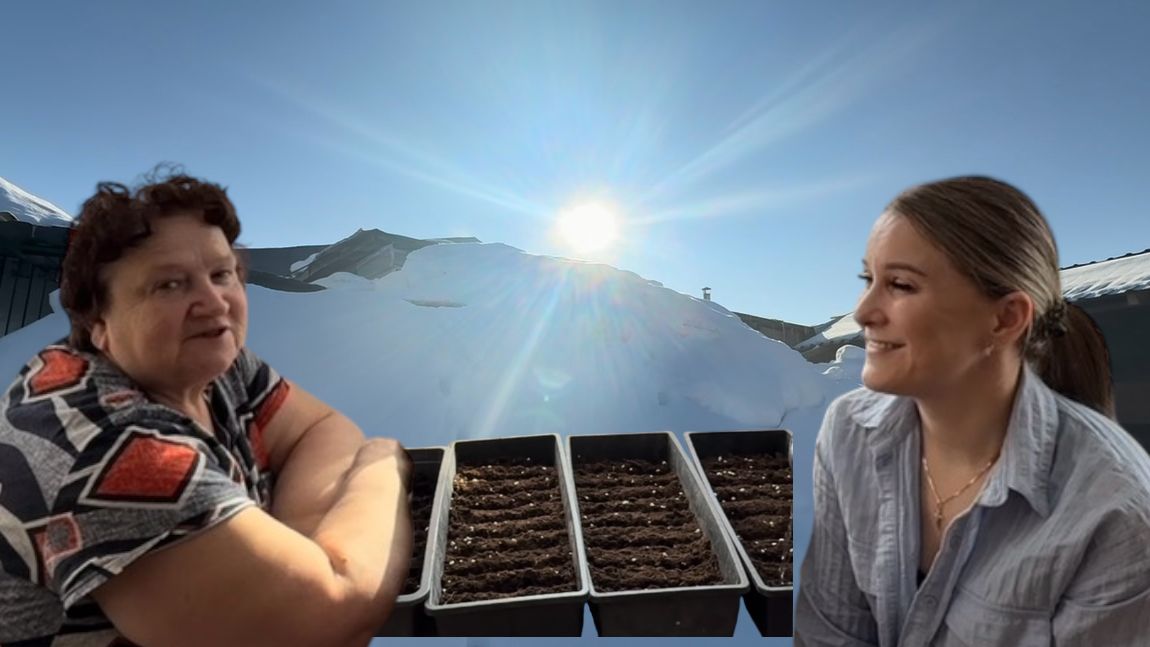 ДЕРЕВЕНСКИЕ ДЕЛА ПРИБАВЛЯЮТСЯСЕЕМ ТОМАТЫ ЦВЕТЫОБНОВЛЯЕМ СЕРВАНТ