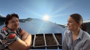 ДЕРЕВЕНСКИЕ ДЕЛА ПРИБАВЛЯЮТСЯ/СЕЕМ ТОМАТЫ ,ЦВЕТЫ/ОБНОВЛЯЕМ СЕРВАНТ